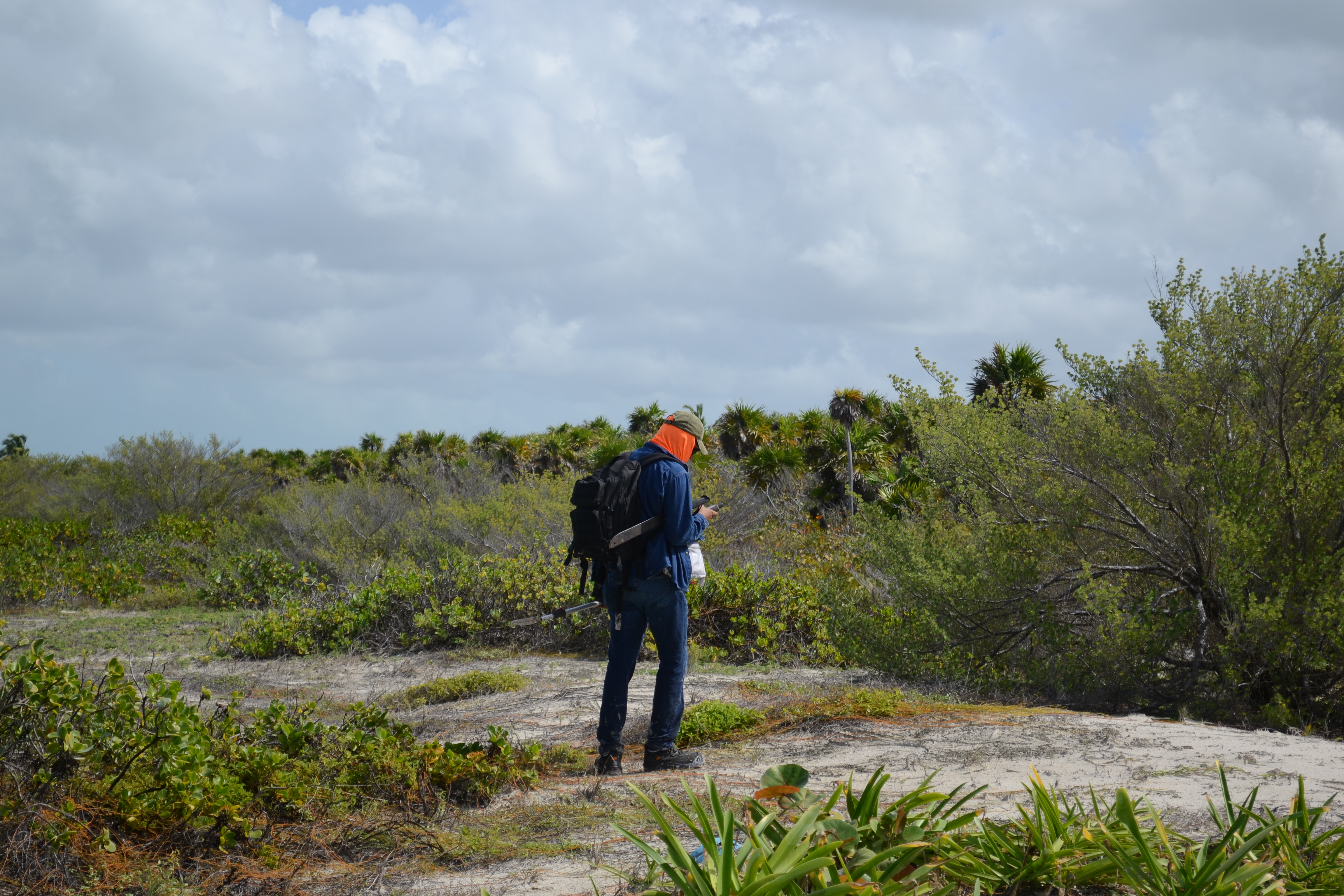 ¿Qué son los servicios ambientales?
